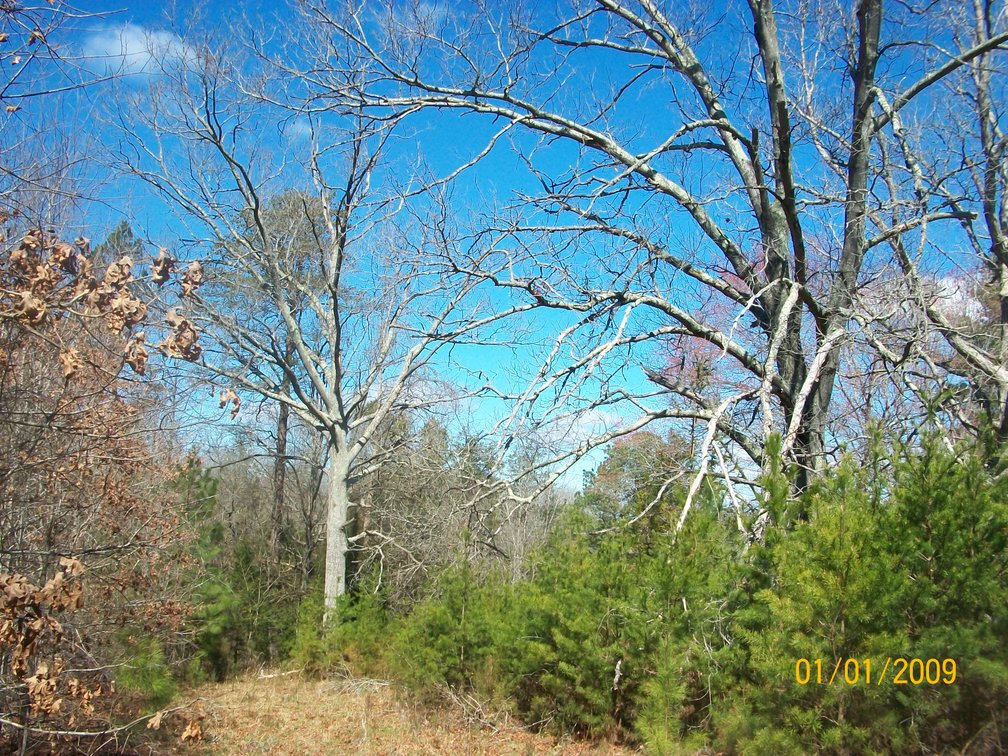 Image for Absolute Trustee Auction - House and lots selling in 3 tracts - Danville VA