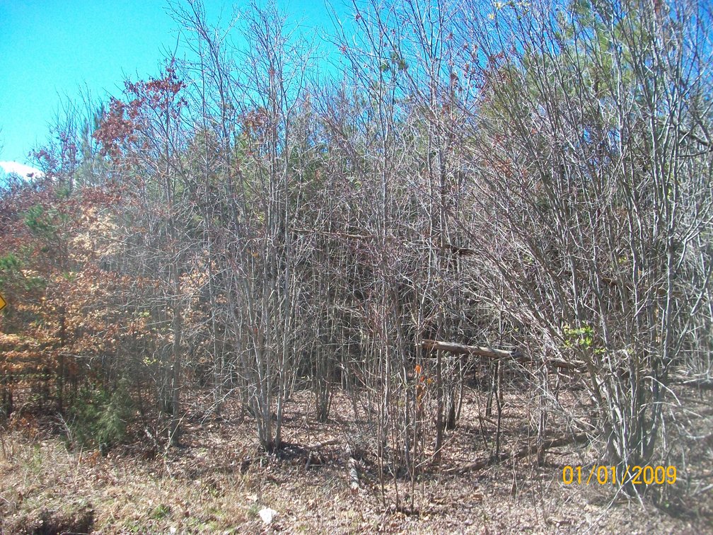 Image for Absolute Trustee Auction - House and lots selling in 3 tracts - Danville VA