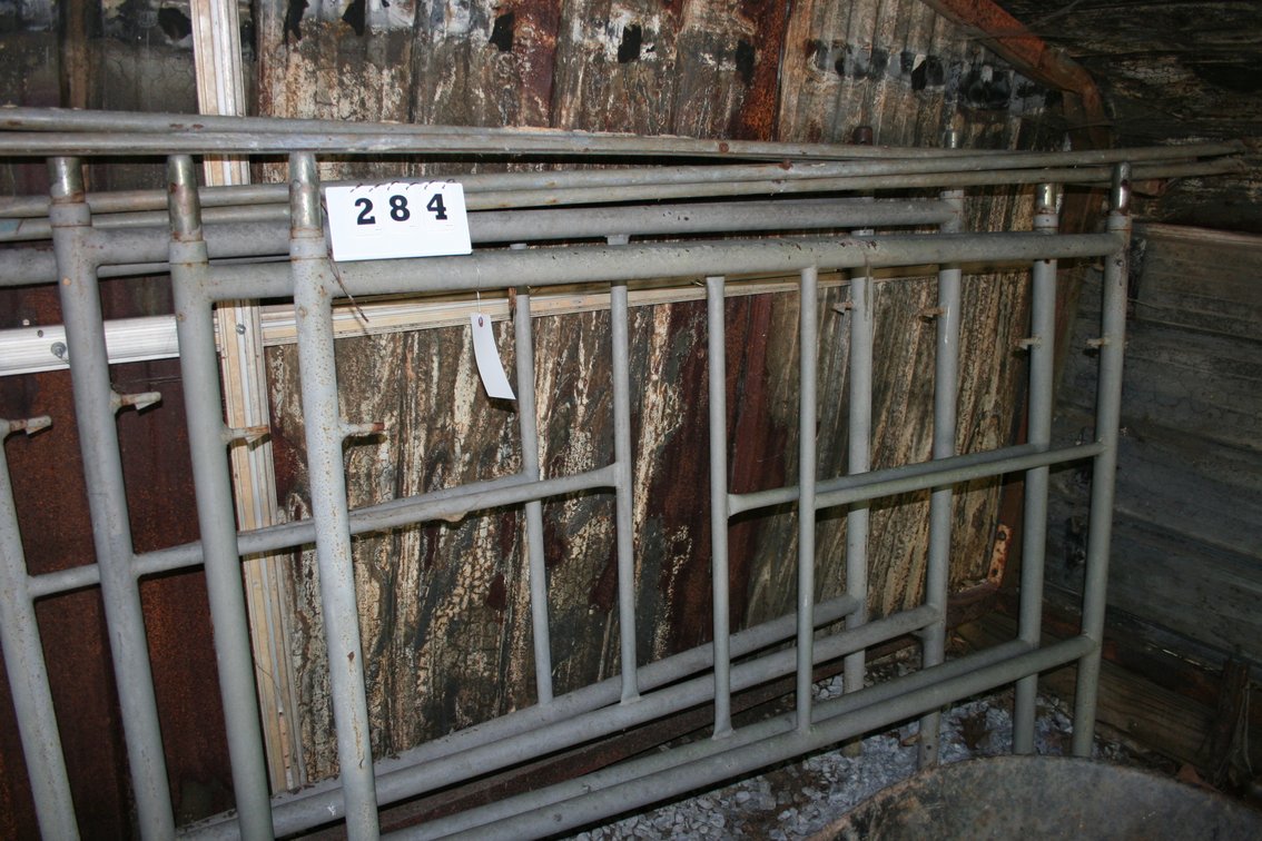 Image for Scaffold