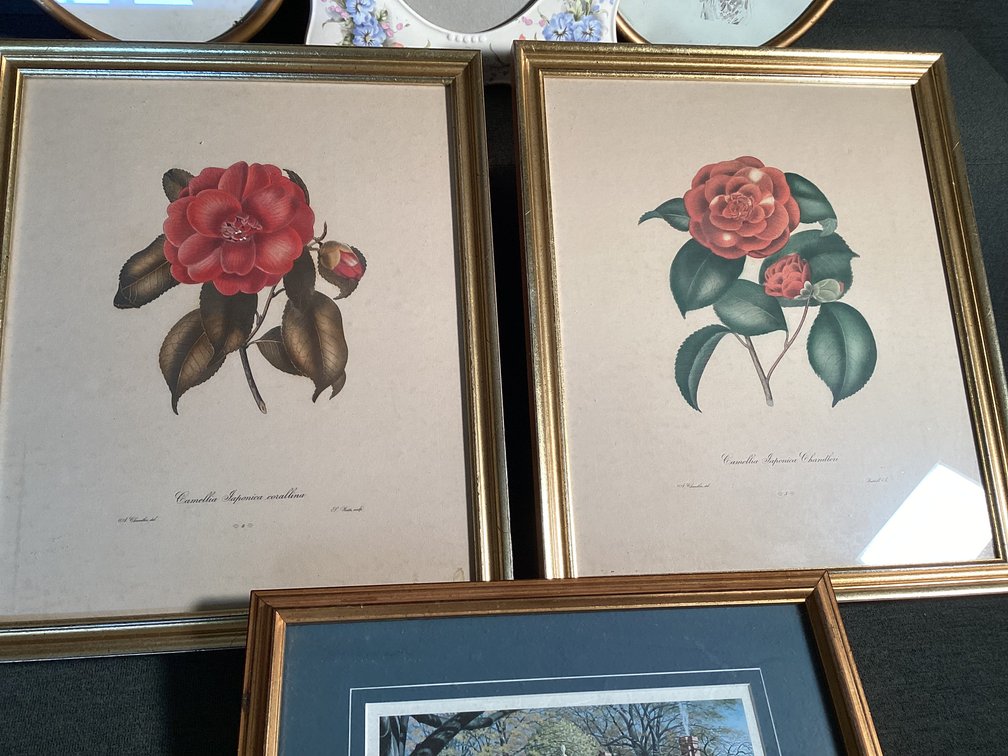 Image for Wall Art