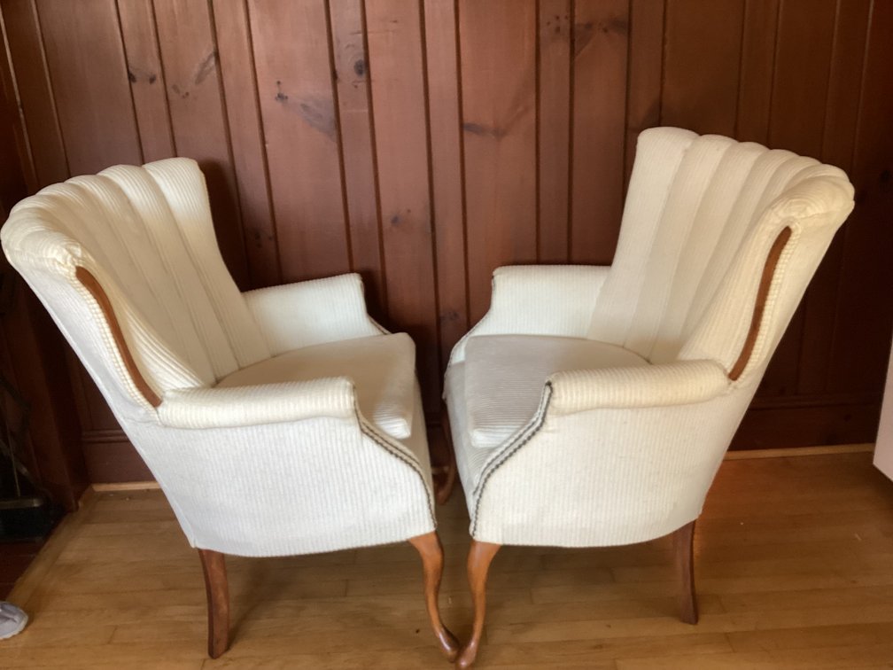 Image for Pair of