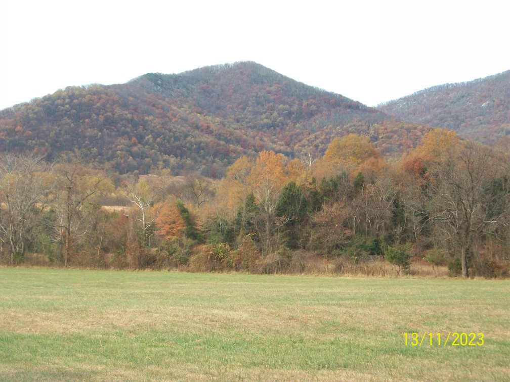 Image for ONLINE & LIVE - REAL ESTATE - YOUR DREAM HOME AWAITS IN LOWESVILLE, VA