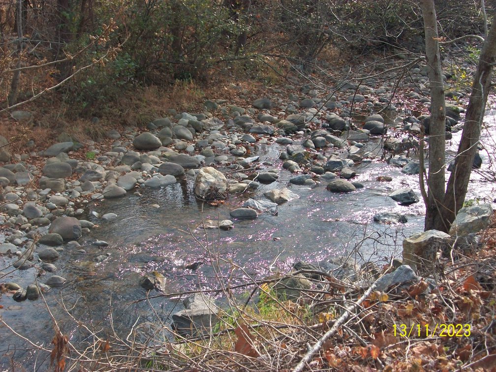 Image for ONLINE & LIVE - REAL ESTATE - YOUR DREAM HOME AWAITS IN LOWESVILLE, VA