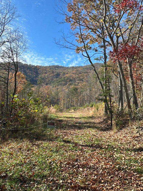 Image for View From Tract 3 - 45.86 acres