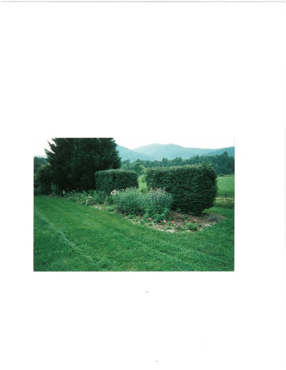 Image for ONLINE & LIVE - REAL ESTATE - YOUR DREAM HOME AWAITS IN LOWESVILLE, VA