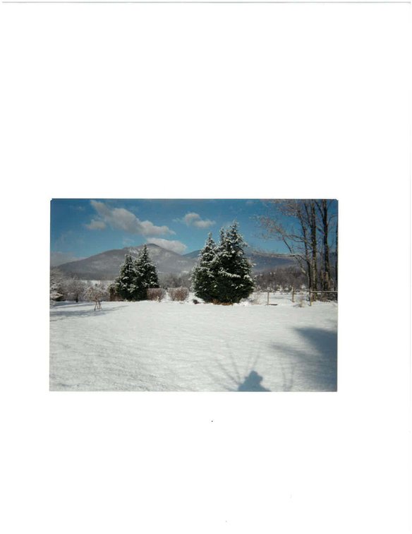 Image for ONLINE & LIVE - REAL ESTATE - YOUR DREAM HOME AWAITS IN LOWESVILLE, VA