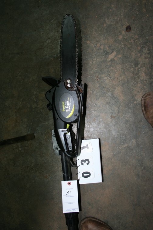 Image for Polan Electric Pole Saw