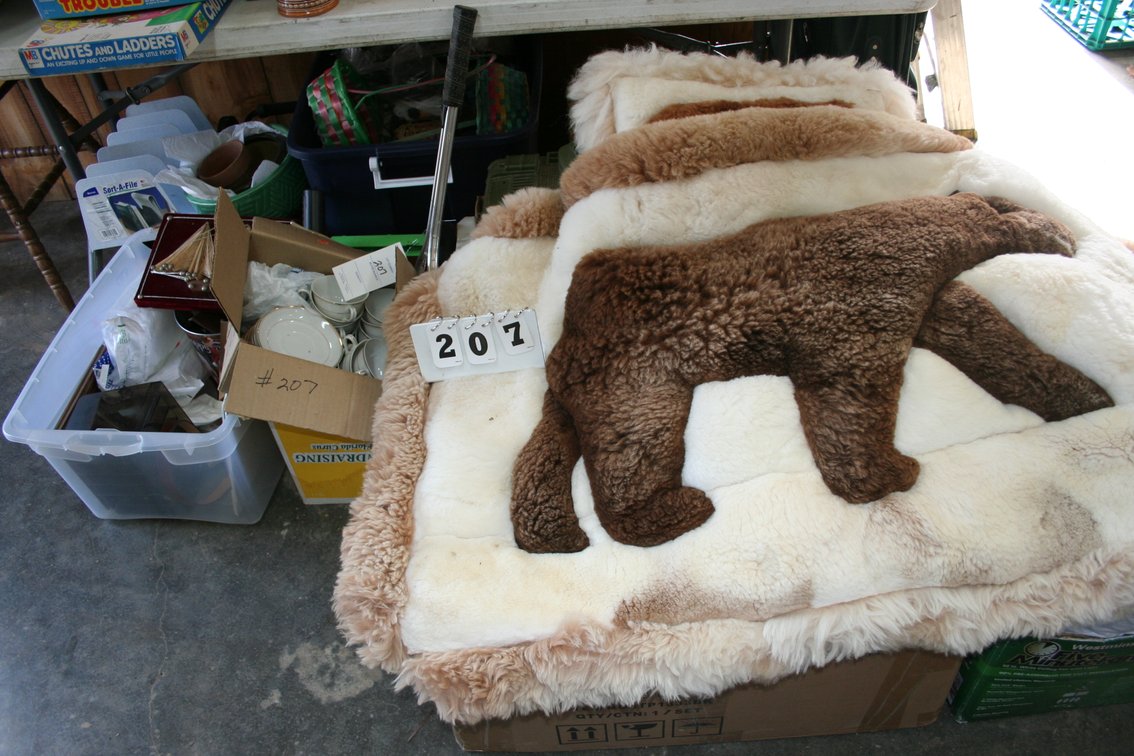 Image for Bear Rug, Contents Under the Table