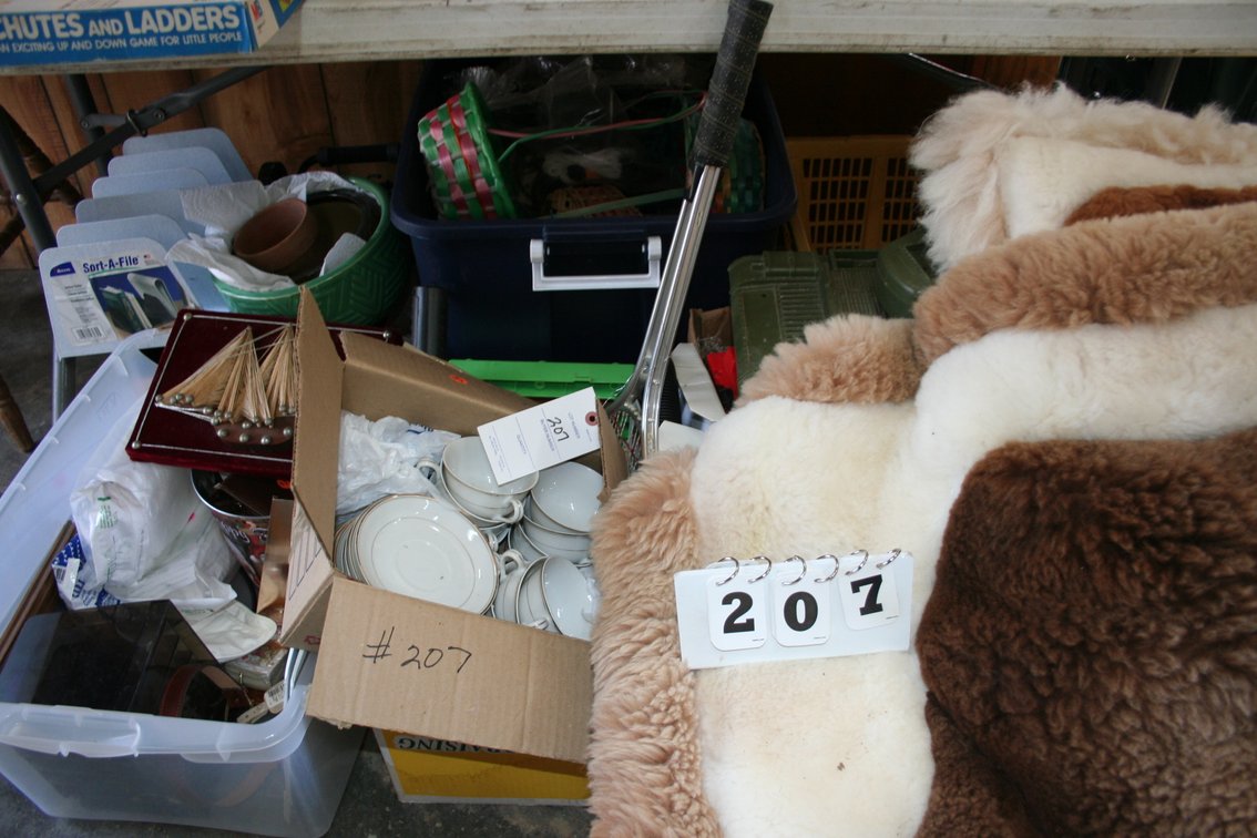Image for Bear Rug, Contents Under the Table
