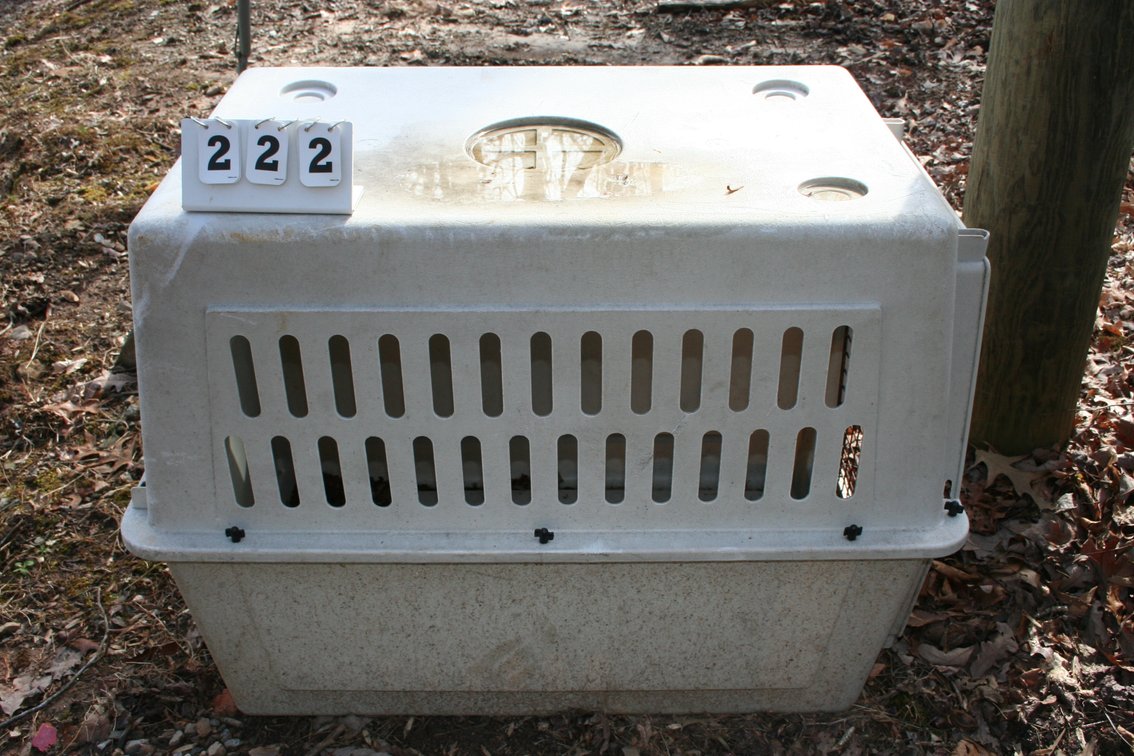 Image for Animal Kennel