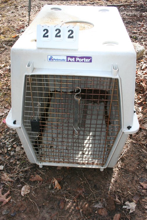 Image for Animal Kennel
