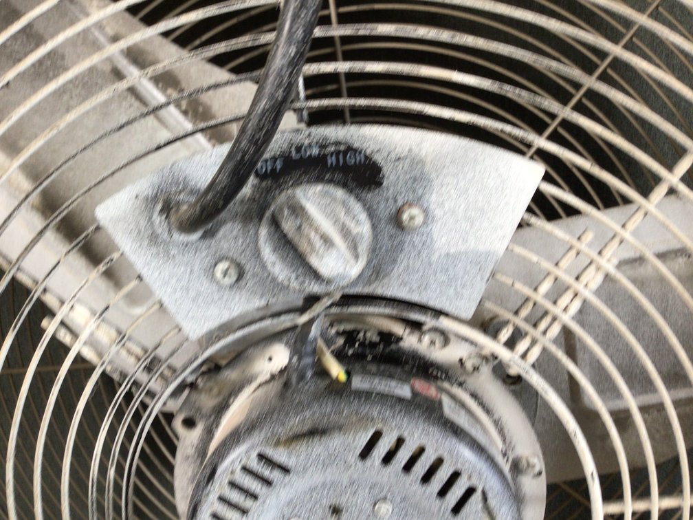 Image for Fan