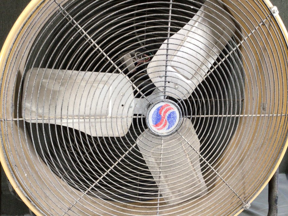 Image for Fan
