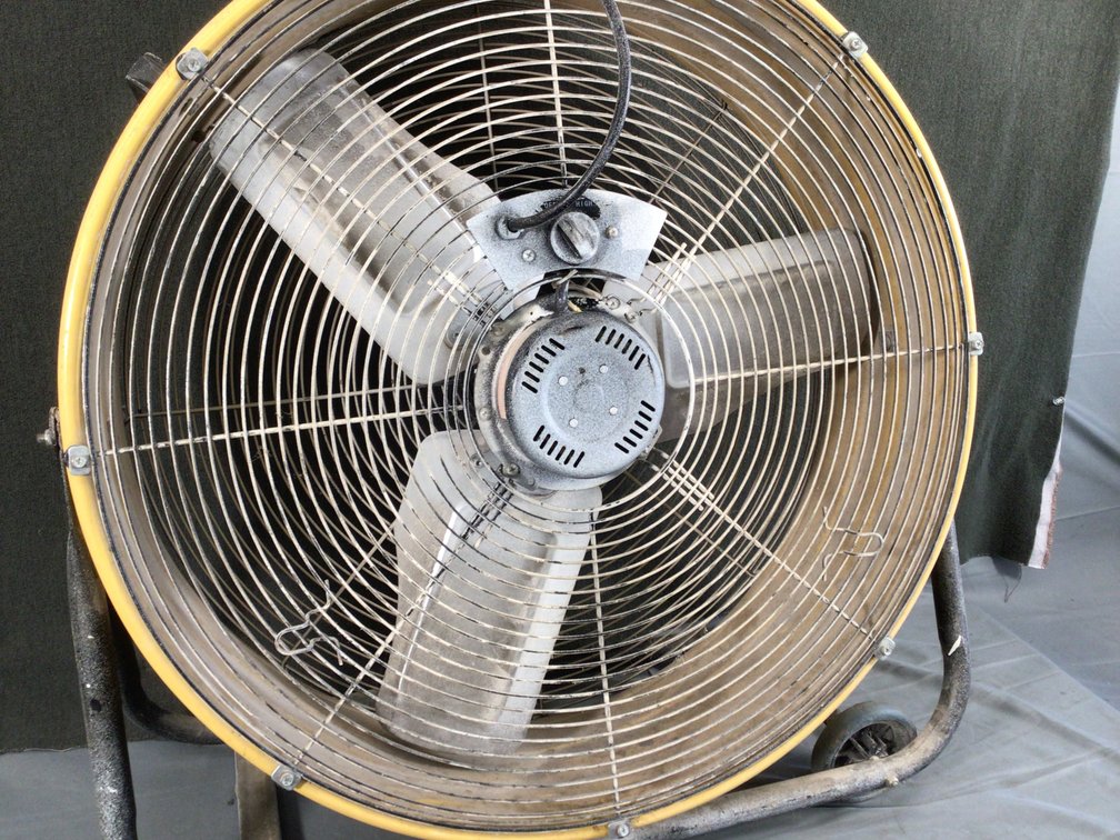 Image for Fan