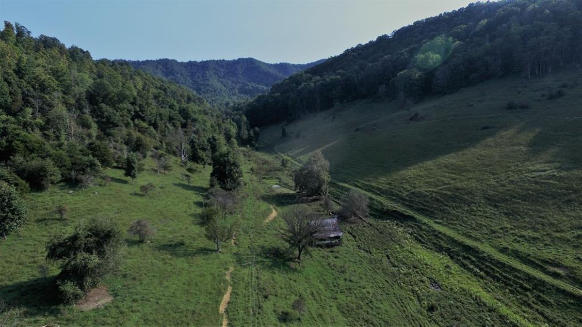 Image for 322 Acres (+/-)