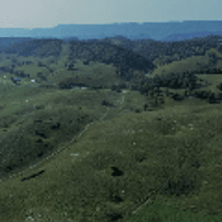 Image for 322 Acres (+/-)