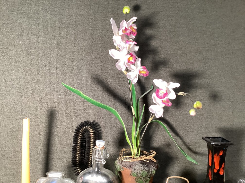 Image for Decorator’s Lot