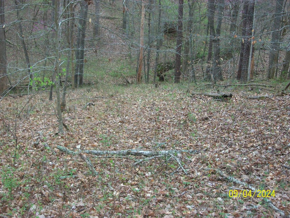 Image for Property #17 Ravenscroft Rd and Dyers Store Rd - 57.76 acres