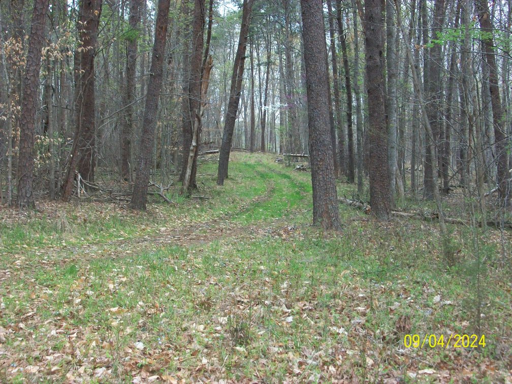 Image for Property #17 Ravenscroft Rd and Dyers Store Rd - 57.76 acres