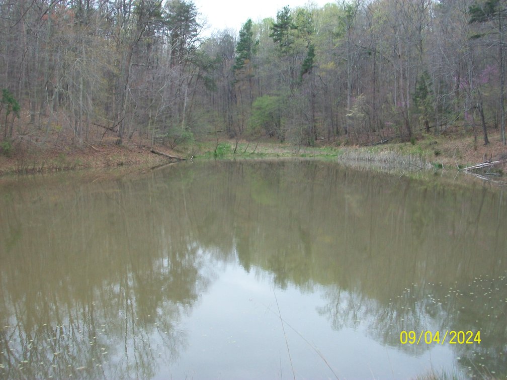 Image for Property #17 Ravenscroft Rd and Dyers Store Rd - 57.76 acres