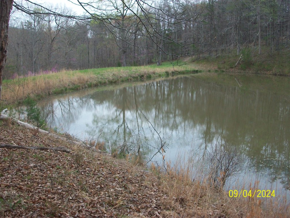 Image for Property #17 Ravenscroft Rd and Dyers Store Rd - 57.76 acres