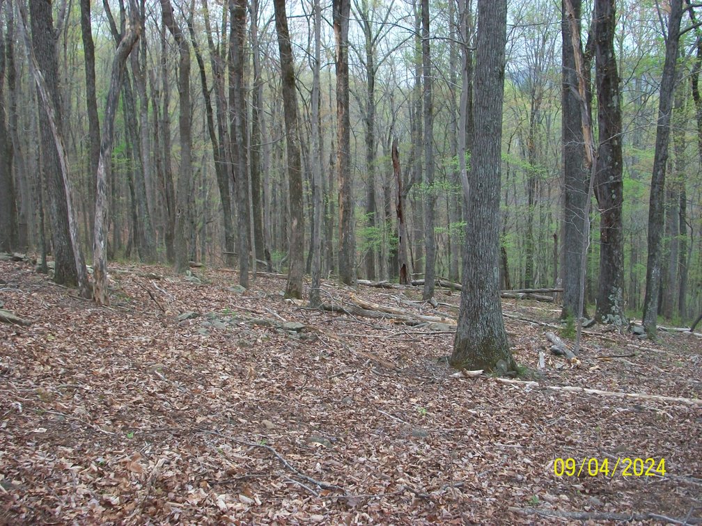 Image for Property #17 Ravenscroft Rd and Dyers Store Rd - 57.76 acres