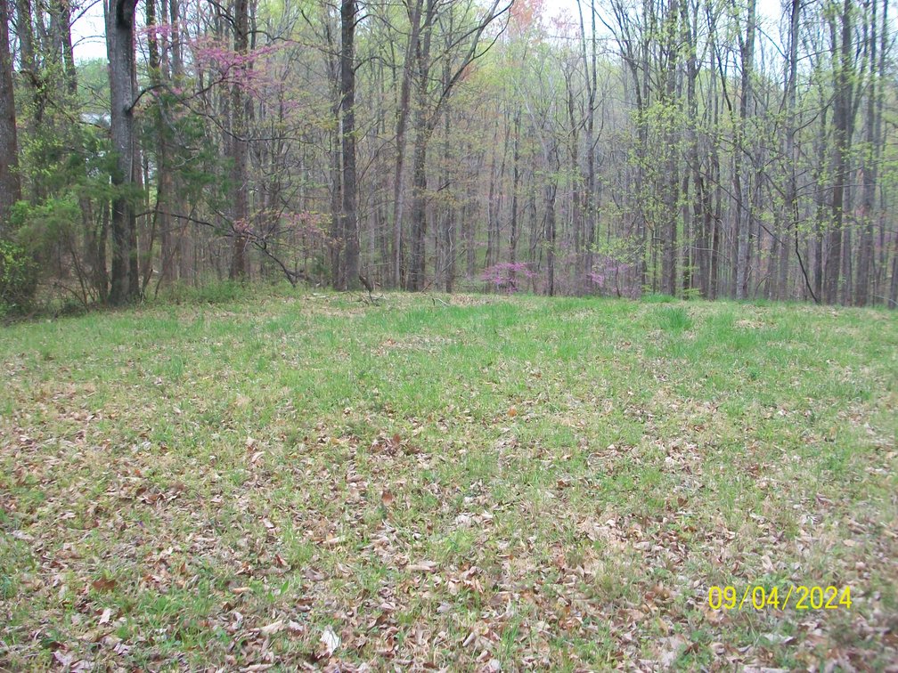 Image for Property #17 Ravenscroft Rd and Dyers Store Rd - 57.76 acres