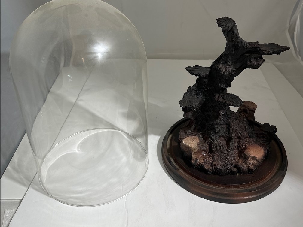 Image for Carving under glass