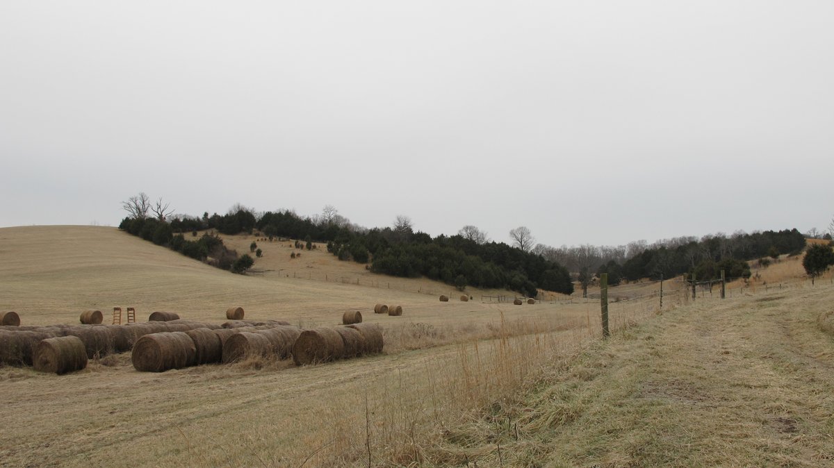 Image for ABSOLUTE TRUSTEE AUCTION - 85.65 ACRES WITH BARN - BUCHANAN, VA