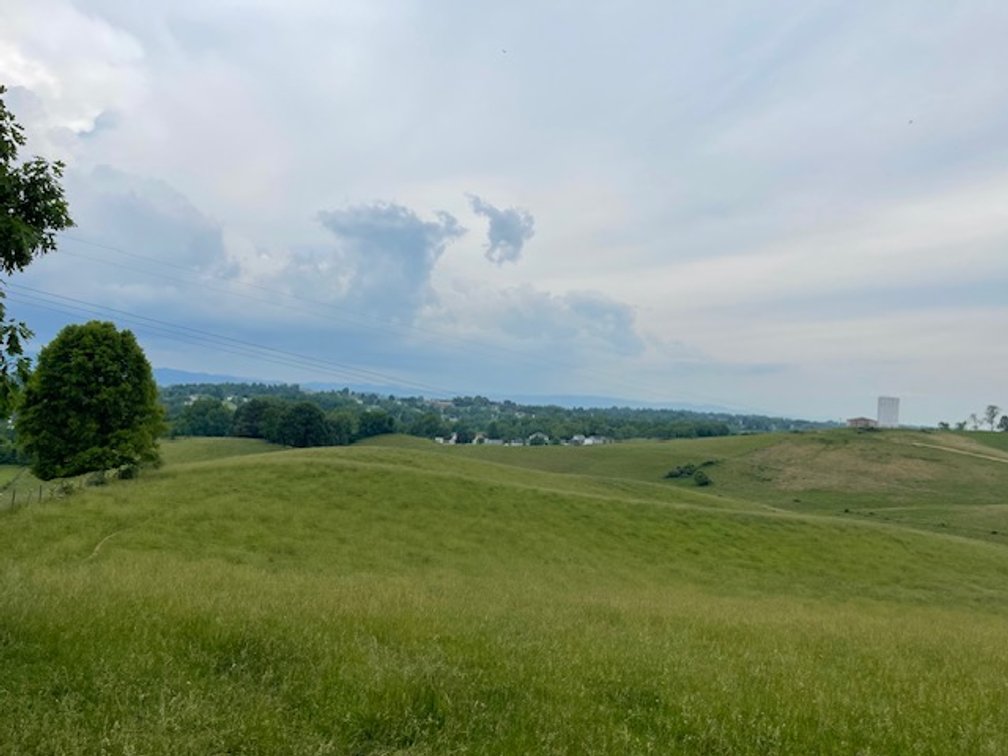 Image for 69.1 Acres (+/-)