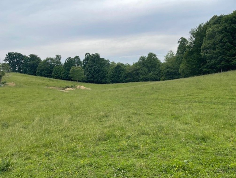 Image for 69.1 Acres (+/-)