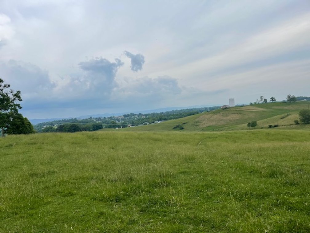 Image for 69.1 Acres (+/-)