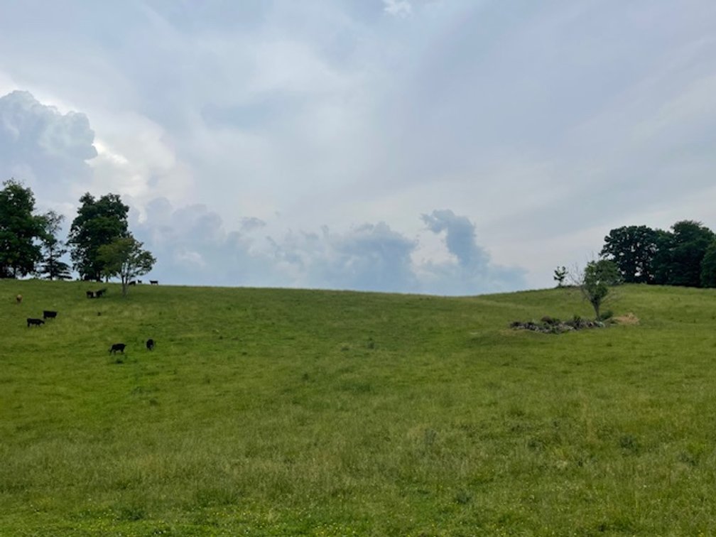 Image for 69.1 Acres (+/-)