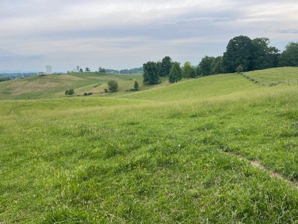 Image for 69.1 Acres (+/-)