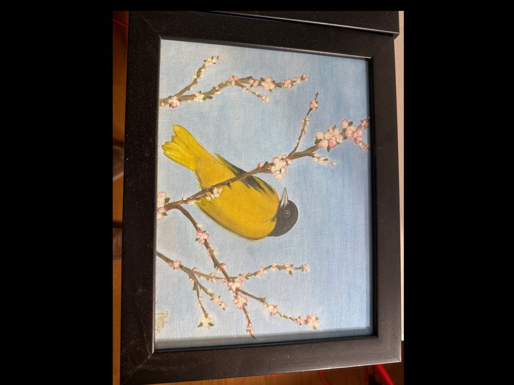 Image for Framed pictures (4)