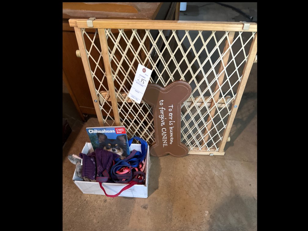 Image for Dog items