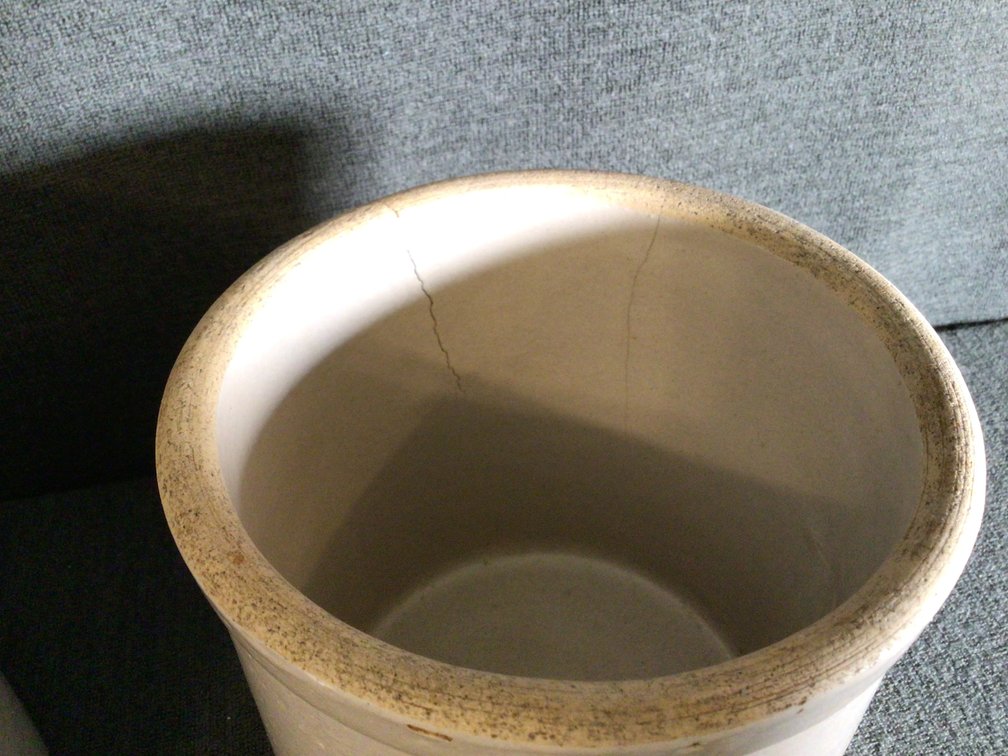 Image for Crocks
