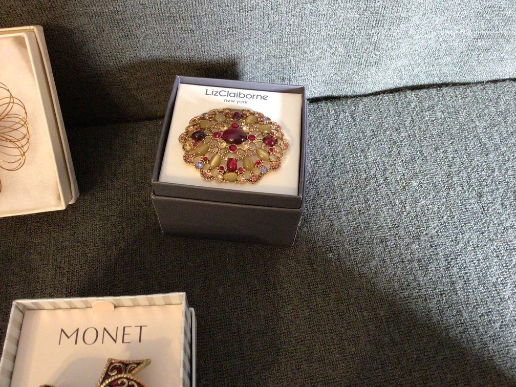Image for Costume jewelry  broaches