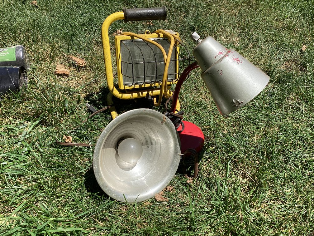 Image for Lights