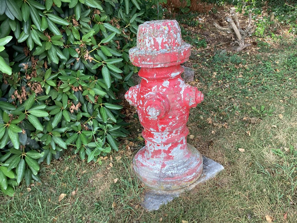 Image for Concrete Fire Hydrant