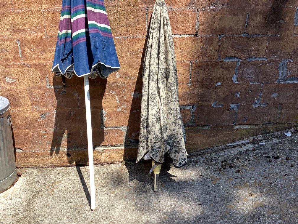 Image for Picnic Umbrellas