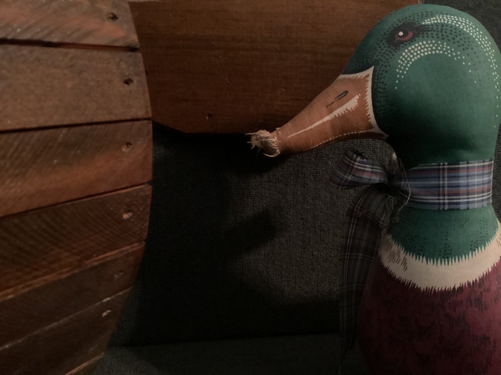 Image for Quack Quack Quack - Quackers for decoration