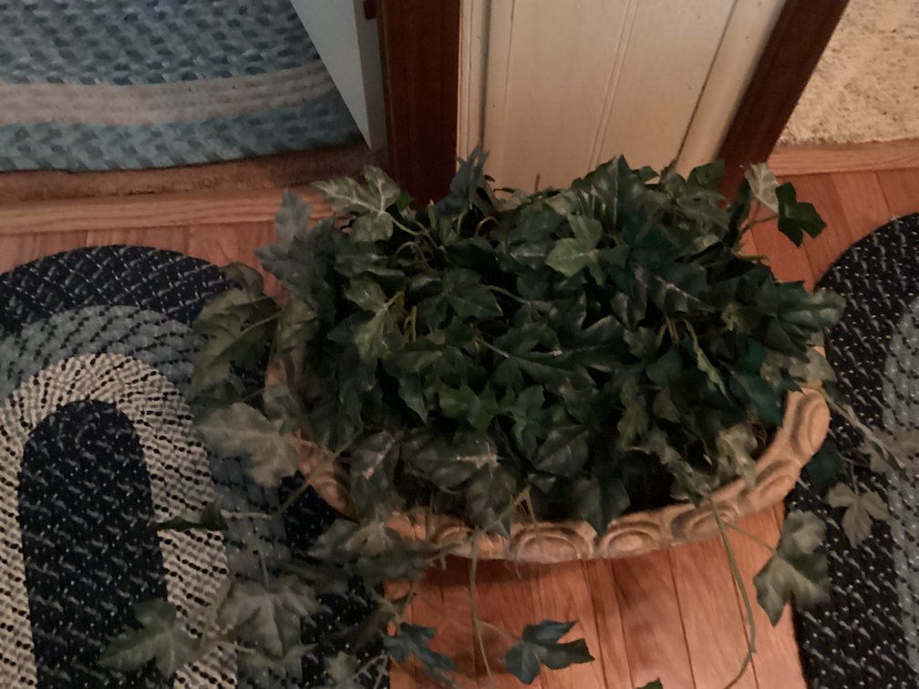 Image for Floral Arrangement in Nice Container