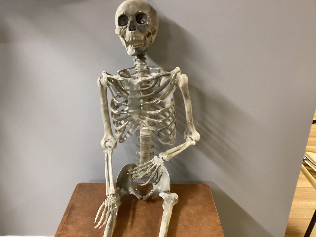 Image for Vintage School Desk and Skeleton