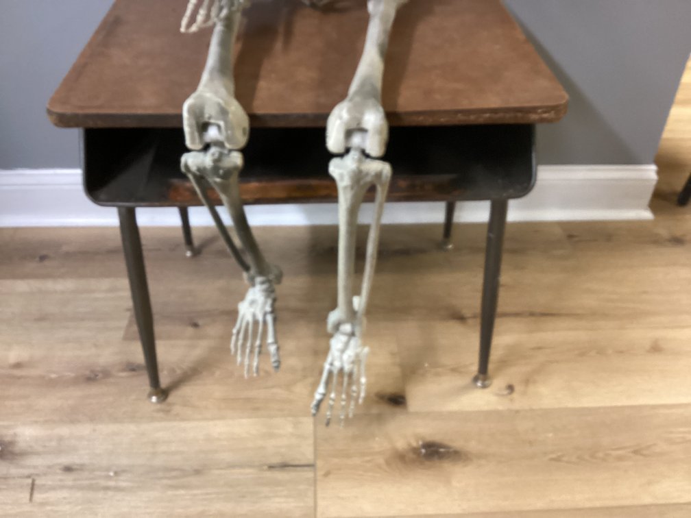 Image for Vintage School Desk and Skeleton