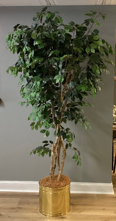 Image for 7’ Faux Fig Tree