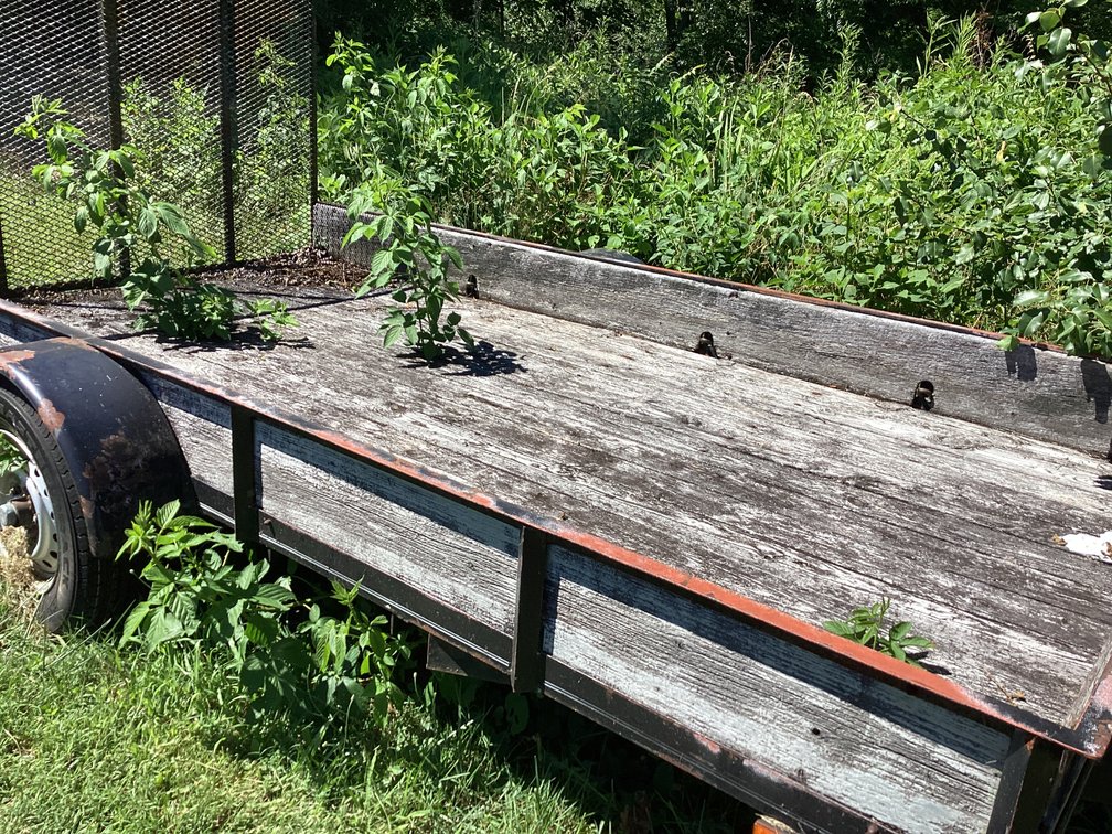 Image for Utility Trailer
