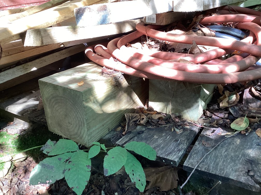 Image for Lumber