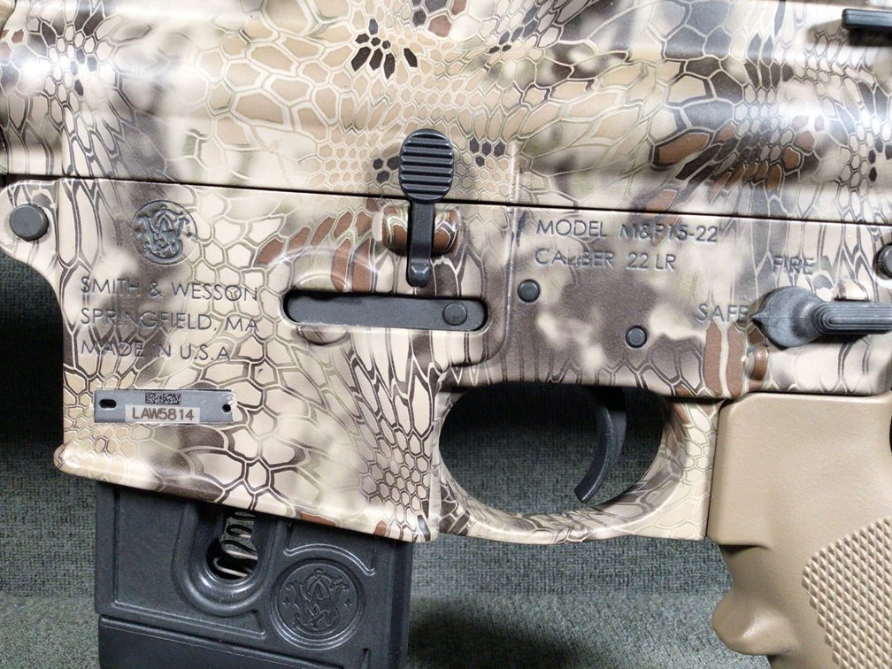 Image for Smith & Wesson M&P15-22 .22 cal LR semi-auto rifle
