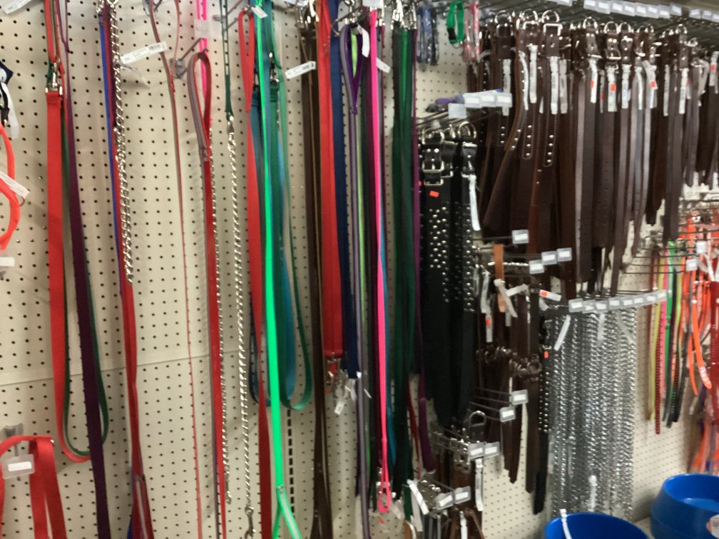 Image for Dog Leashes, Collars, and 4 Truck Safety Harness